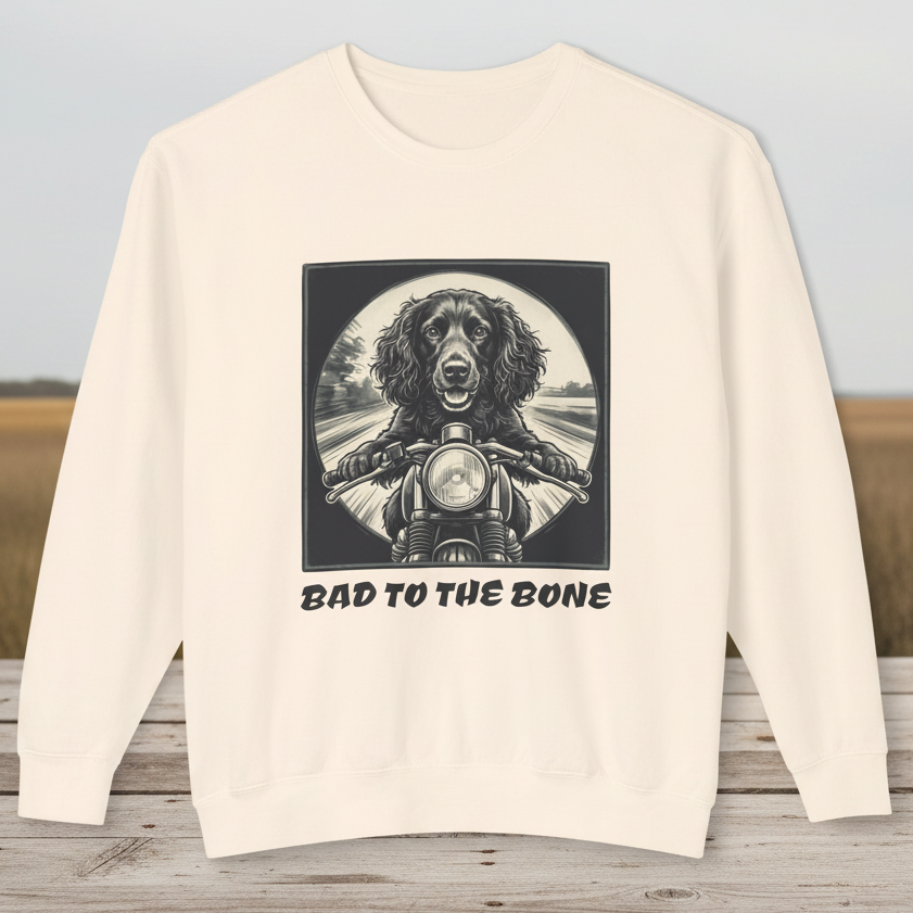 Sweatshirts & Hoodies
