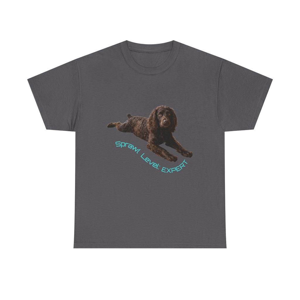 Boykin Spaniel "Sprawl Level Expert" T-Shirt