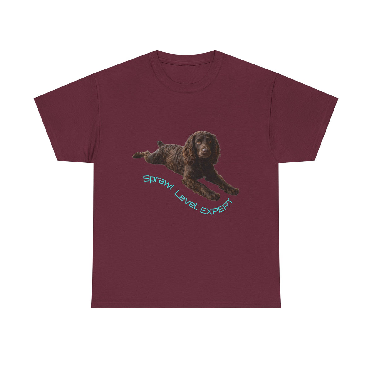 Boykin Spaniel "Sprawl Level Expert" T-Shirt