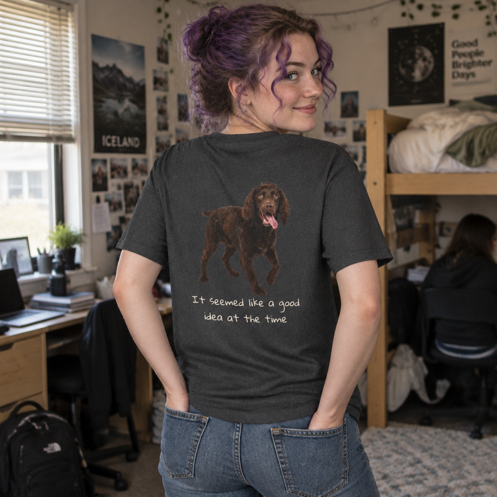 Boykin Spaniel “Seemed Like a Good Idea” T-Shirt