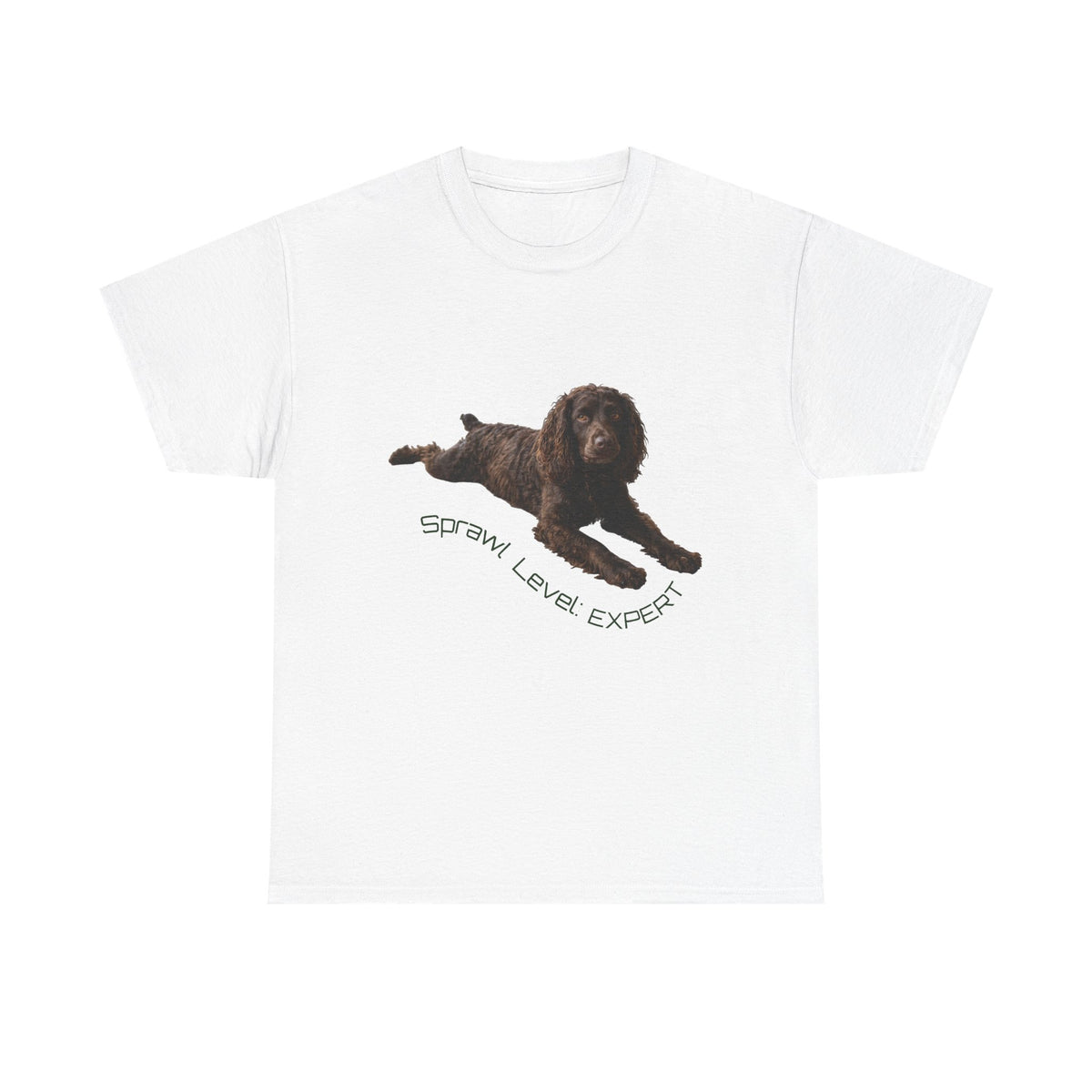 Boykin Spaniel "Sprawl Level Expert" T-Shirt