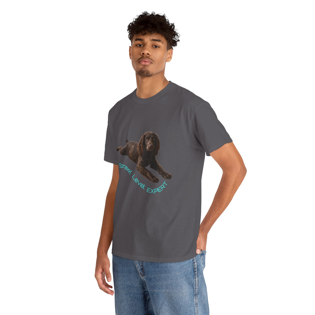 Boykin Spaniel "Sprawl Level Expert" T-Shirt