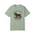 Boykin Spaniel Duck Dog South Carolina Hunting T-shirt