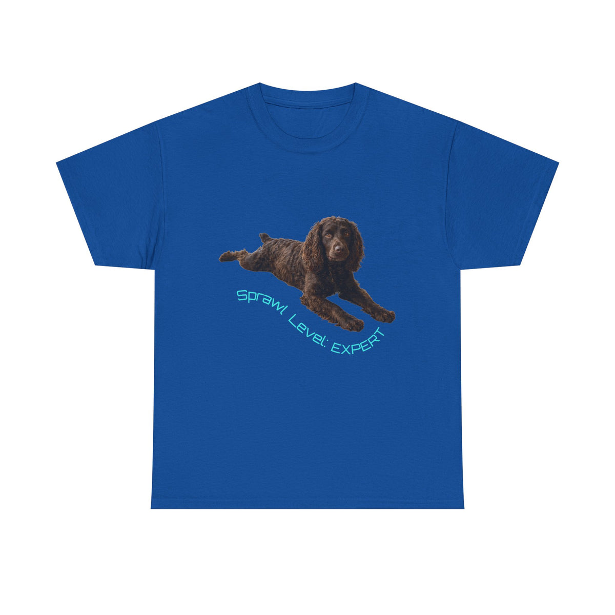 Boykin Spaniel "Sprawl Level Expert" T-Shirt